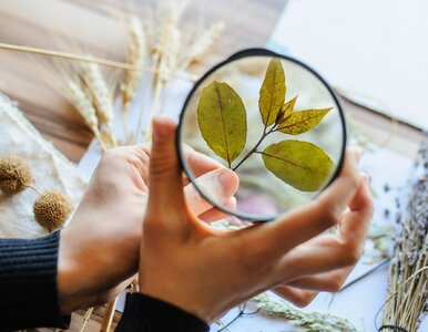 QUIZ z biologii. Jeśli to pamiętasz, twoja nauczycielka od biologii będzie dumna